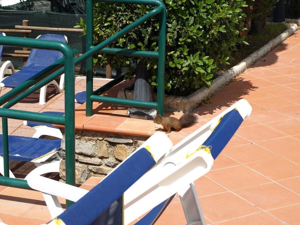 Camping Village Panoramico Fiesole Ngoại thất bức ảnh