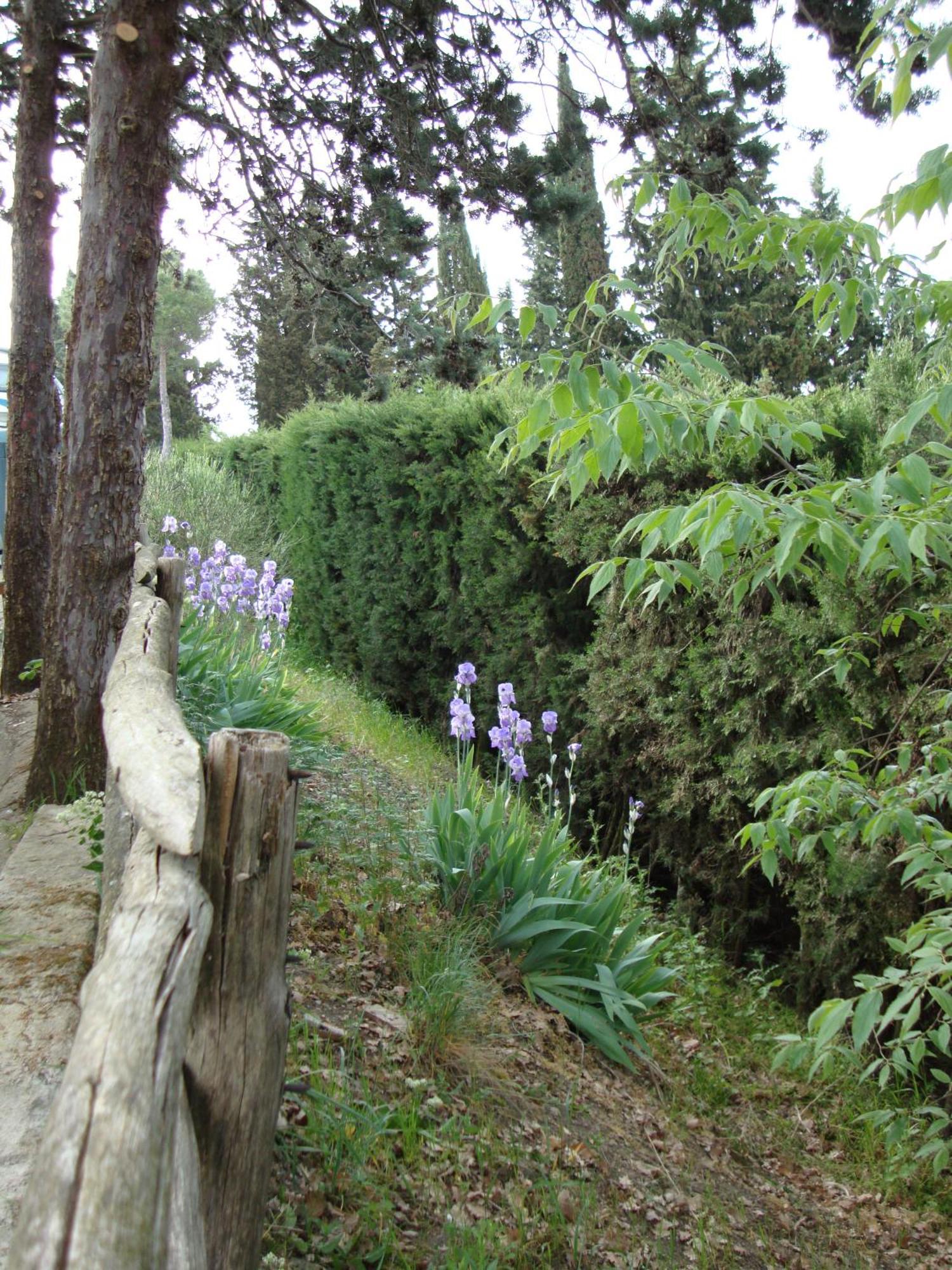 Camping Village Panoramico Fiesole Ngoại thất bức ảnh